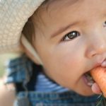 baby-eating-carrot-picture-id163246249